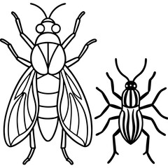 Insects and Rodents line art vector