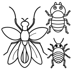 Insects and Rodents line art vector