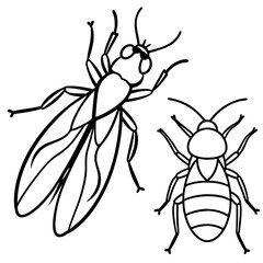 Insects and Rodents line art vector