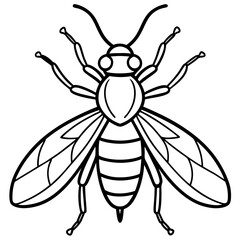Insects and Rodents line art vector