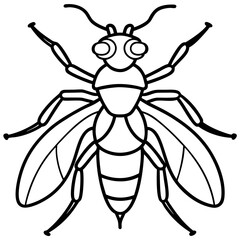 Insects and Rodents line art vector