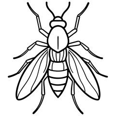 Insects and Rodents line art vector