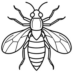 Insects and Rodents line art vector