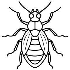 Insects and Rodents line art vector