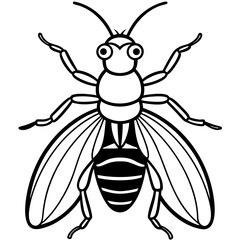 Insects and Rodents line art vector