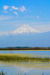 Mount Ararat, scenic nature view from Armenia. Beautiful volcanic mountain with view of lake and forests. Natural landscape with mountain and river.