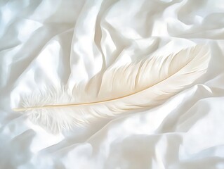 Aesthetic purity: single feather delicately rests upon pristine, white silk fabric