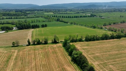 Fototapeta premium Virginia countryside with green grass, trees and fields and rolling hills in peaceful landscape 