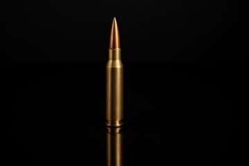 Close-up of sniper bullet, military ammunition