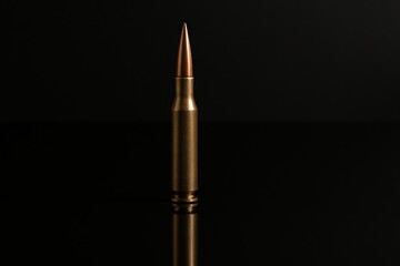 Sniper bullet close-up, military ammo