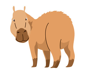 Capybara. Cartoon cute animal, wild herbivore mammal resting. Funny adorable exotic animal relaxing. Cartoon flat vector illustration