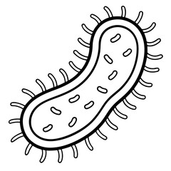 e--coli-line-art-vector