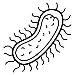 e--coli-line-art-vector