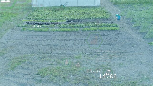 3D render showing leafy greens growing in rows beside cultivator displaying hex icons by greenhouse