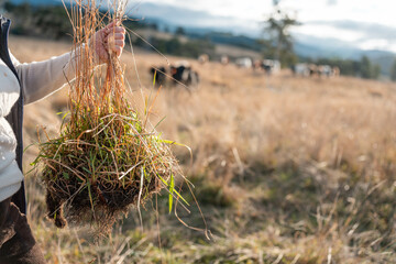 farmer holding soil full of microorganisms. sustainable regenerative agriculture, women in agriculture