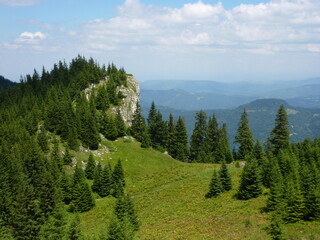 A pristine panoramic image of a high mountain, with a pine forest and rocky cliffs.