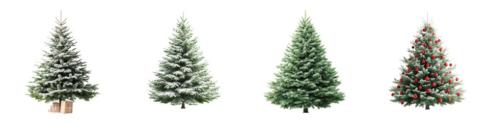 Fototapeta premium Festive Christmas trees in a range of styles featuring snowy, lush green, and decorated versions, perfect for holiday decorations, cards, and seasonal designs