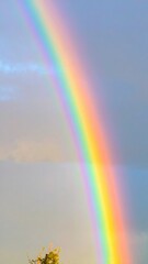 A vibrant rainbow arcs gracefully across a clear blue sky, casting colorful hues over a lush green forest of tall trees below.
