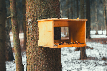 The stern of birds hanging on the tree trunk provides food for wild birds during the cold winter, helping them to survive the harsh weather conditions in the snow forest. Wooden a bird feeder.