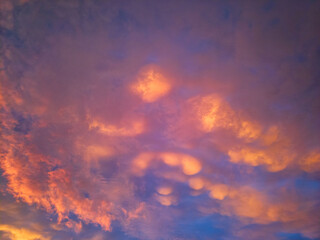 Nature canvas painted in hues of tranquility