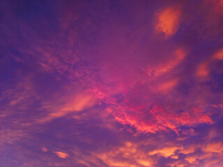 Obraz premium Nature canvas painted in hues of tranquility