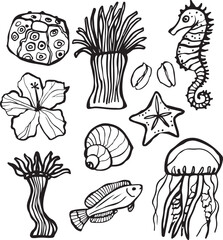 Vector doodle composition on a marine theme. Shells, seahorse, hydras, fish, jellyfish