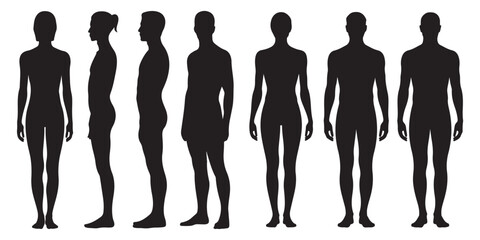 Male and Female Body Silhouettes Front and Side Views, Male Anatomy Diagrams Skeletal, Muscular, and Silhouette Views, human body anatomy, front, back, side view, vector woman and man