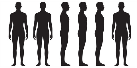 Male and Female Body Silhouettes Front and Side Views, Male Anatomy Diagrams Skeletal, Muscular, and Silhouette Views, human body anatomy, front, back, side view, vector woman and man