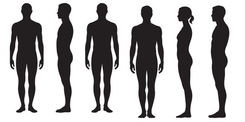 Male and Female Body Silhouettes Front and Side Views, Male Anatomy Diagrams Skeletal, Muscular, and Silhouette Views, human body anatomy, front, back, side view, vector woman and man