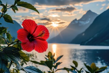 Vibrant red hibiscus flower by a serene lake at sunset, mountain backdrop