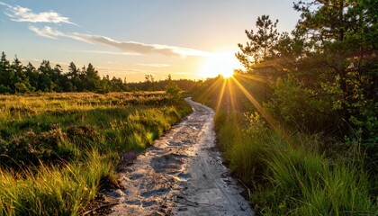 Fototapeta premium Serene Sunset Landscape with Pathway in Nature Setting
