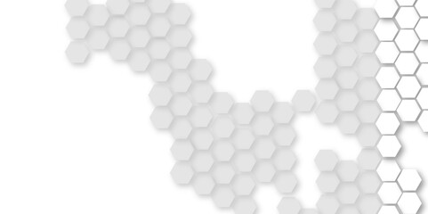 Abstract technology white and grey geometric hexagon shape on transparent background vector.