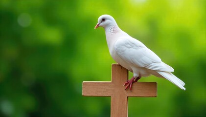 Fototapeta premium A white dove rests on a simple wooden cross against a blurred background of natural greenery , sacred, bird