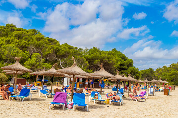 Sun beds umbrellas on beach Cala Samarador Amarador Mallorca Spain.