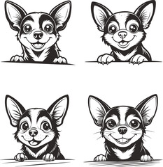 Fototapeta premium Adorable Chihuahuas peeking over a surface cute dogs black and white vector illustration