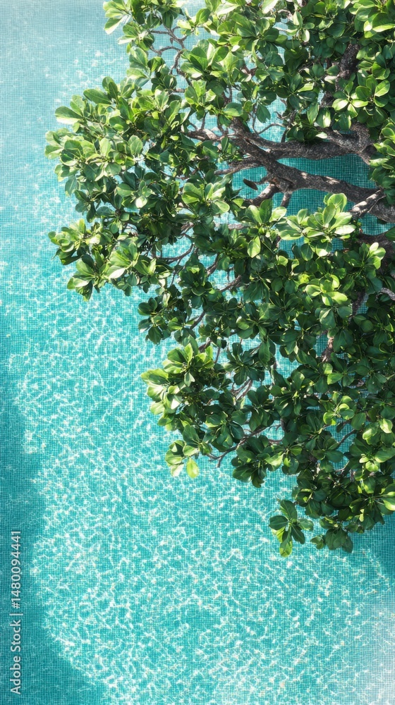 Poster overhead view of tree branches with green leaves over turquoise pool water creating dappled sunlight