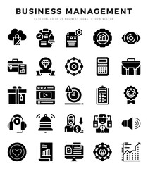 Business Management. Glyph icons Pack. vector illustration.