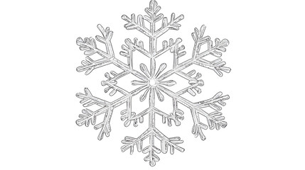 A snowflake is drawn in black and white