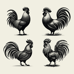 rooster and hen