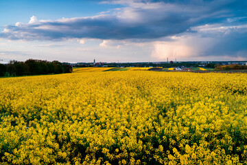 Spring Fields Silesia Gliwice Poland