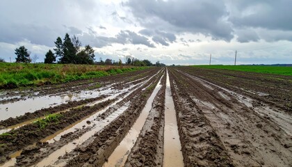 Obraz premium Wet Agriculture Field with Plowed Rows under Cloudy Sky