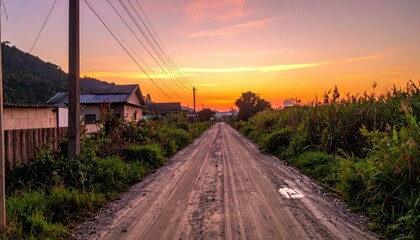 Obraz premium Serene Dirt Road at Sunset Surrounded by Lush Greenery