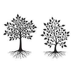 A Set of Trees with Leaves and Roots. Vector Illustration. vector images