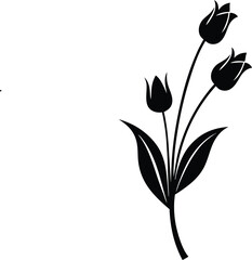 vector illustration of a tulip