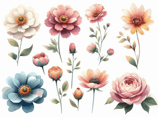 Meadow Wash flower isolated watercolor vector illustration svg