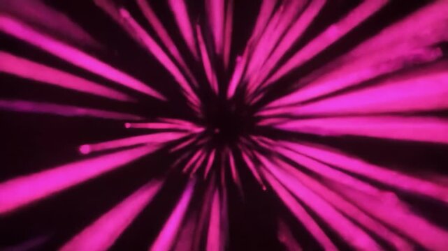 Dynamic pink rays burst outward from a central point, creating an engaging visual experience that captivates the viewer. This colorful display showcases vibrant movement and energy.