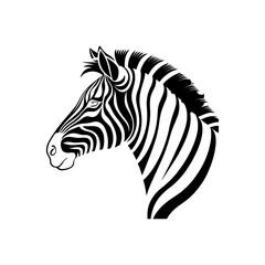 zebra vector illustration