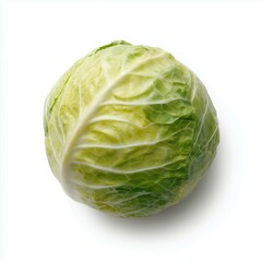 Fototapeta premium Fresh cabbage isolated on white background,healthy eating concept.
