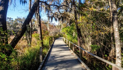 Obraz premium Serene Wooden Boardwalk Through Lush Greenery in Nature Preserve