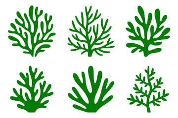 Green seaweed plant vector illustration graphic art © Apon